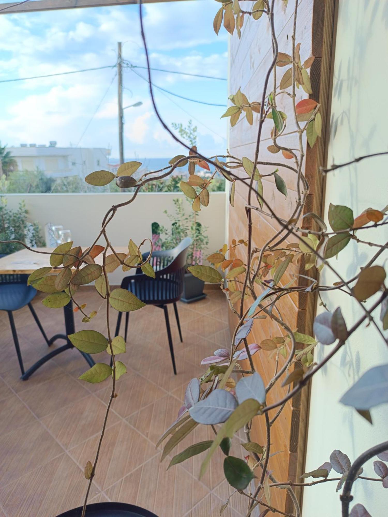 Giodriana Cozy Studio Agia Marina  Bagian luar foto